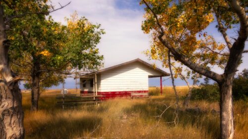 Rustic Abandoned Cabin in Golden Autumn Field 4K Wallpaper