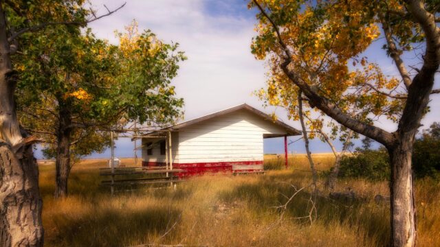 Rustic Abandoned Cabin in Golden Autumn Field 4K Wallpaper