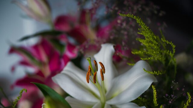 Elegant White Lily and Pink Floral Bouquet 4K Desktop Wallpaper