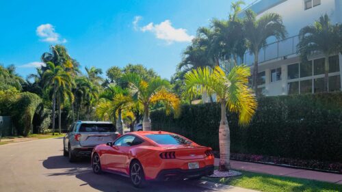 Red Ford Mustang and SUV Parked on a Sunny Florida Street Desktop Wallpaper