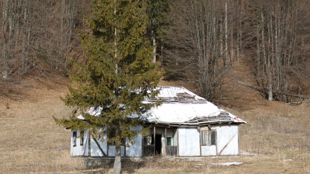 Abandoned Rustic House in Forest Glade 4K Desktop Wallpaper