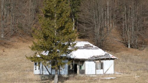 Abandoned Rustic House in Forest Glade 4K Desktop Wallpaper