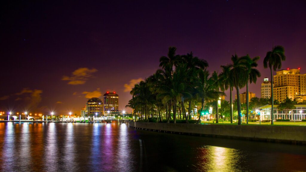 Night Cityscape with Palm Trees and Waterfront Reflections Desktop Wallpaper
