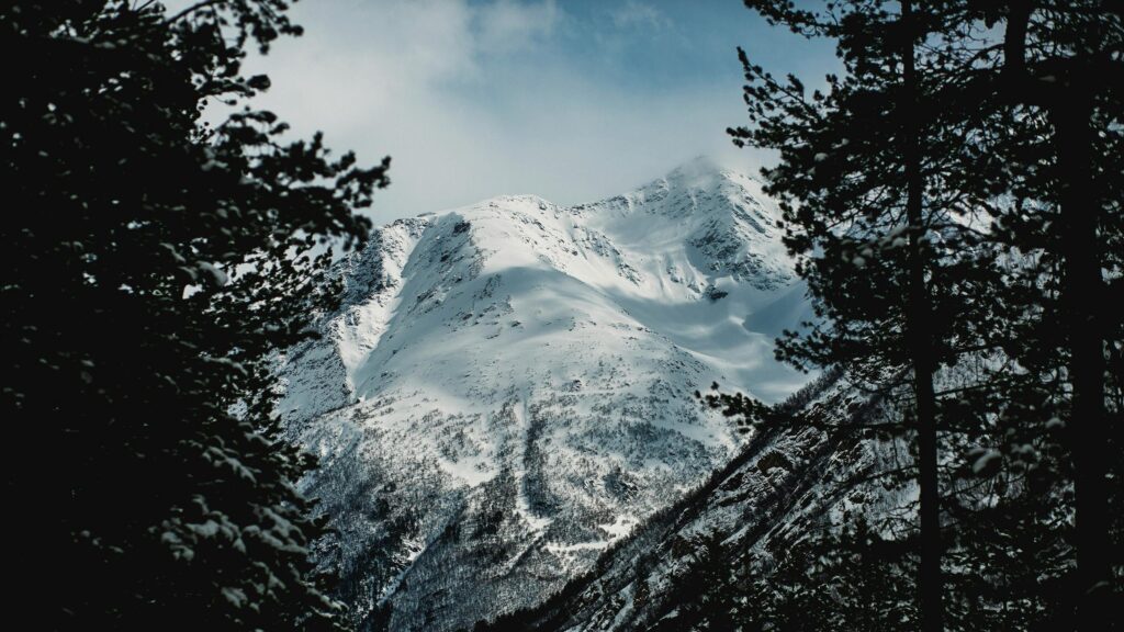 Majestic Snowy Mountain Peak Framed by Pine Trees 4K Wallpaper
