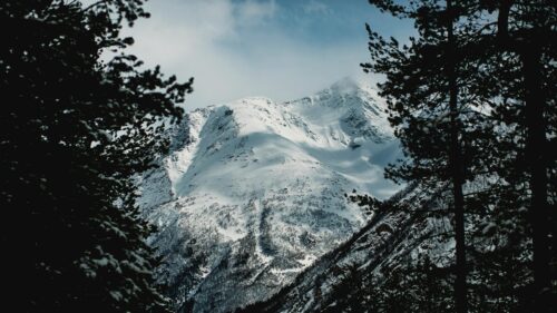 Majestic Snowy Mountain Peak Framed by Pine Trees 4K Wallpaper