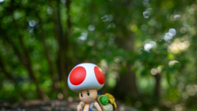 Toad Explorer Adventure in the Forest PC Wallpaper