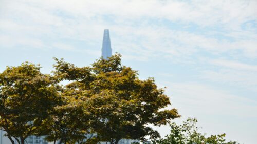 Lotte World Tower Skyline Through Lush Tree Canopy 4K Wallpaper
