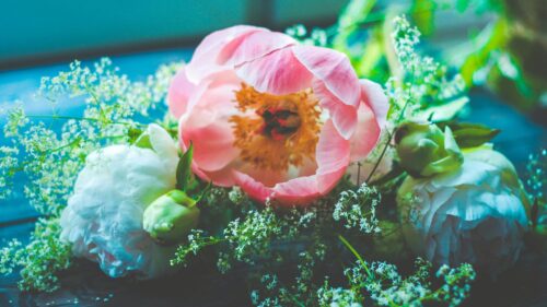Elegant Pink and White Peony Flower Bouquet Desktop Wallpaper