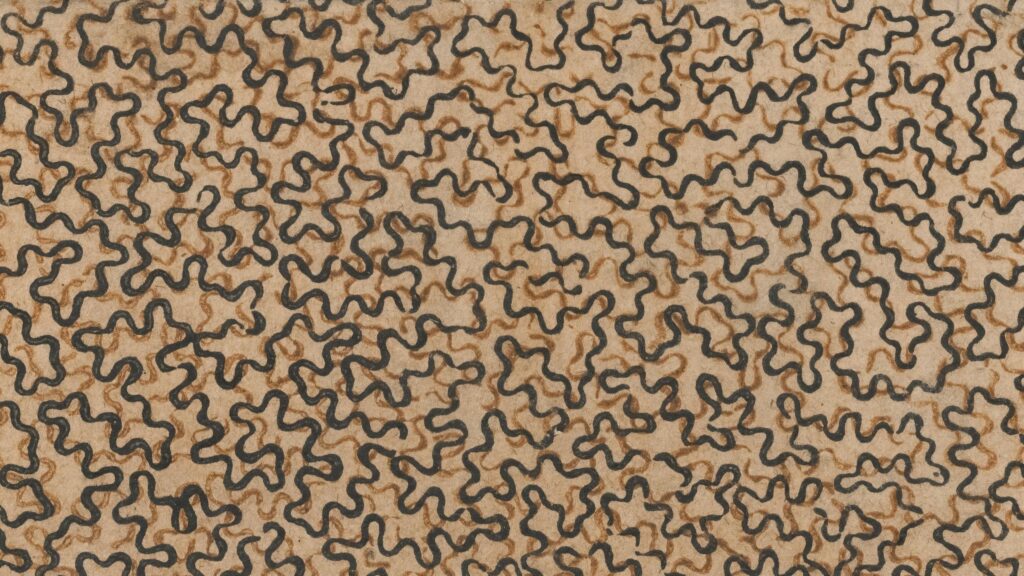 Abstract Wavy Line Pattern in Earth Tones Desktop Wallpaper