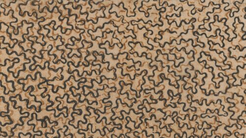 Abstract Wavy Line Pattern in Earth Tones Desktop Wallpaper