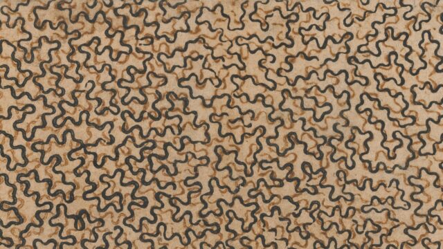 Abstract Wavy Line Pattern in Earth Tones Desktop Wallpaper