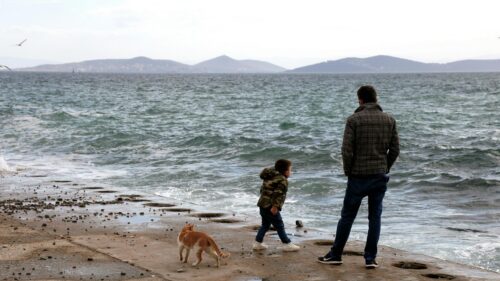 Father and Son with Cat on Seawall Scenic Ocean View Desktop Wallpaper