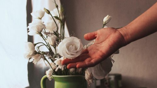 Hand Gently Touching Elegant White Lisianthus Flowers Desktop Wallpaper