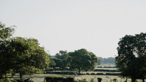 Serene Pastoral Countryside with Grazing Horses Desktop Wallpaper