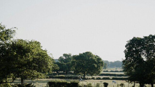 Serene Pastoral Countryside with Grazing Horses Desktop Wallpaper