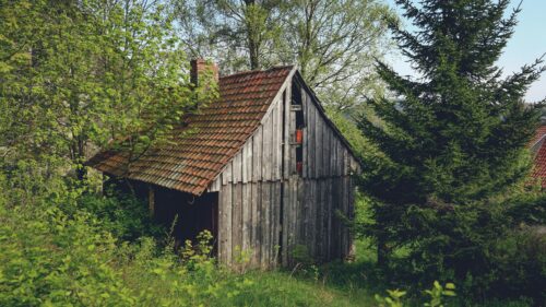 Rustic Abandoned Wooden Cabin in Forest Clearing 4K Wallpaper