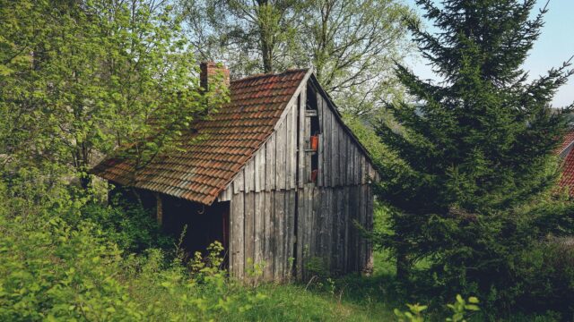Rustic Abandoned Wooden Cabin in Forest Clearing 4K Wallpaper