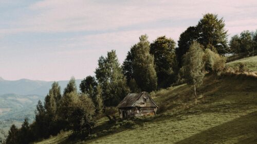 Rustic Wooden Cabin on Carpathian Mountain Slope PC Wallpaper