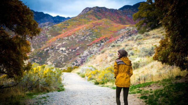 Woman Hiking on Scenic Mountain Trail Autumn Forest 4K Wallpaper