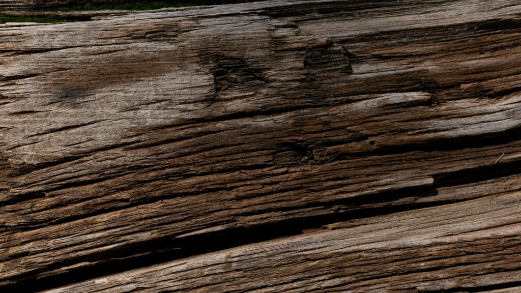 Rustic Weathered Wood Grain Macro Texture Desktop Wallpaper