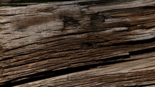 Rustic Weathered Wood Grain Macro Texture Desktop Wallpaper