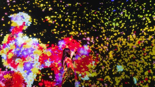 Woman Touching Magical Falling Flowers 4K Desktop Wallpaper