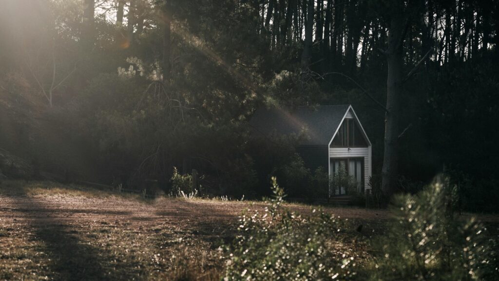 A-Frame Cabin in Moody Forest Sunlight Desktop Wallpaper
