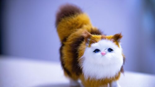 Cute Fluffy Calico Toy Cat Close Up Desktop Wallpaper