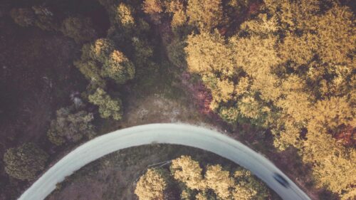 Aerial View of a Winding Road Through Autumn Forest Desktop Wallpaper