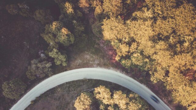 Aerial View of a Winding Road Through Autumn Forest Desktop Wallpaper