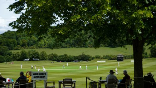 A Sunny Day Cricket Match at Wormsley Estate Desktop Wallpaper