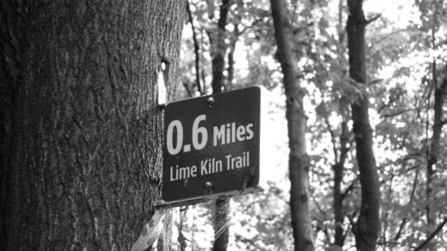 Black and White Lime Kiln Trail Sign Forest Nature Desktop Wallpaper