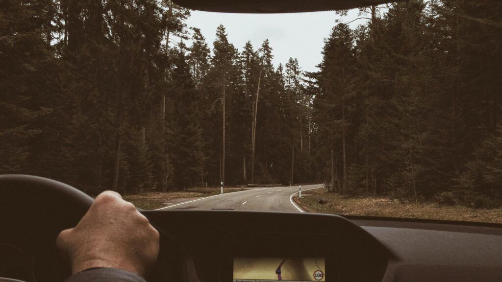 Road Trip Through Dark Pine Forest First Person View PC Wallpaper