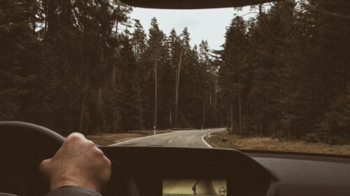 Road Trip Through Dark Pine Forest First Person View PC Wallpaper