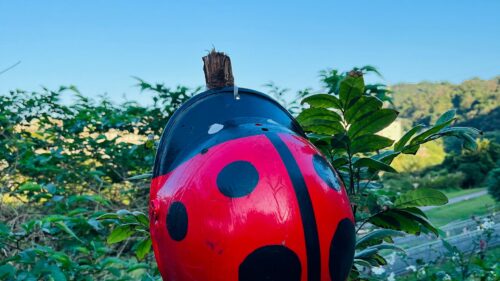 Cute Ladybug Garden Art Ornament 4K Desktop Wallpaper