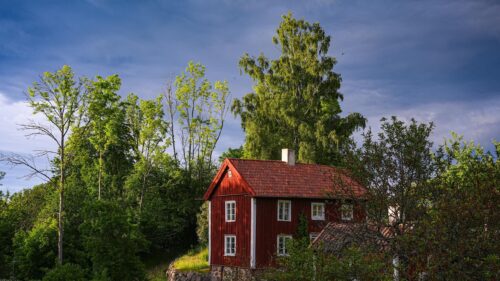 Rustic Red Swedish Cottage in Lush Summer Forest 4K Wallpaper