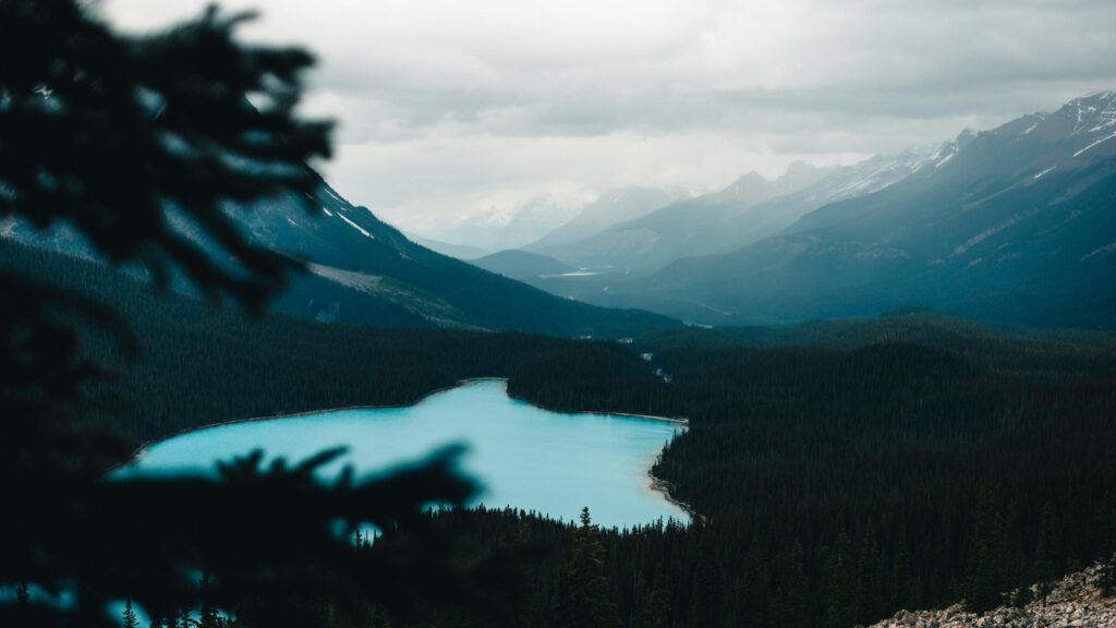 Turquoise Peyto Lake Alpine Mountain View 4K Wallpaper