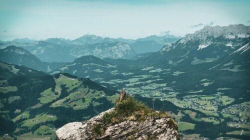 Alpine Alpine Accentor on Rocky Summit Scenic View 4K Wallpaper