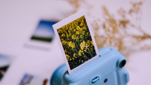Blue Instax Camera with Yellow Wildflower Photo Desktop Wallpaper
