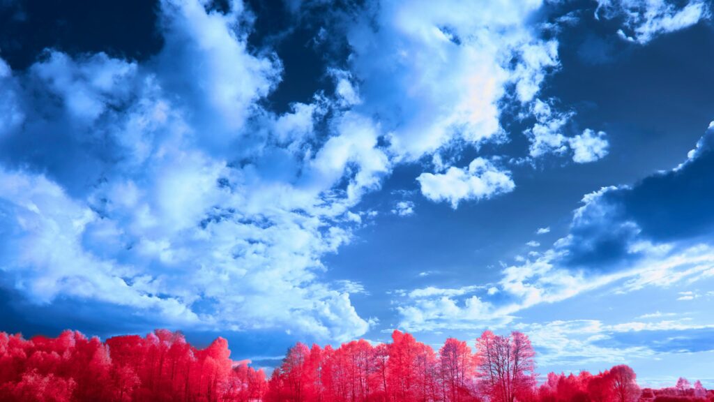 Surreal Infrared Forest with Vibrant Pink Trees and Blue Sky 4K Wallpaper