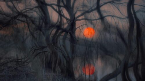 Ethereal Red Moon Over Dark Mystical Forest Landscape 4K Wallpaper