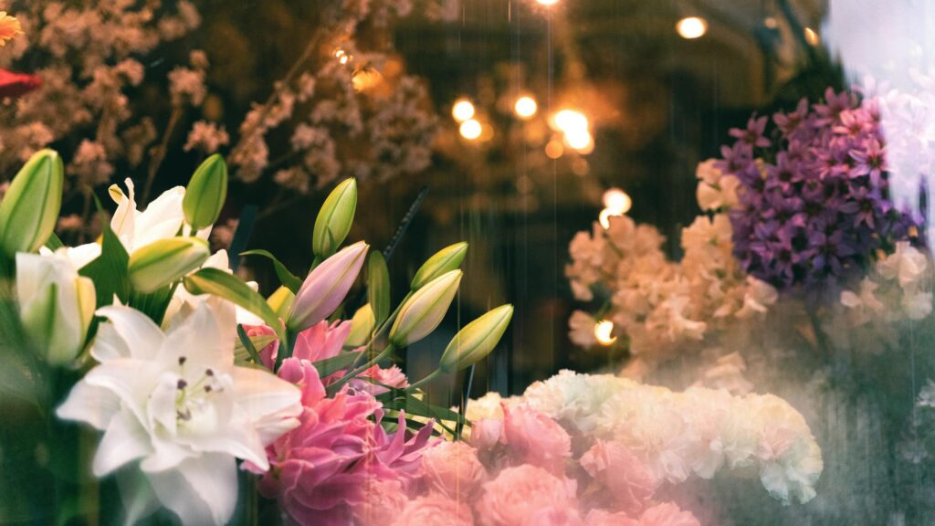 Floral Elegance Soft Pink and White Lily Bloom Desktop Wallpaper