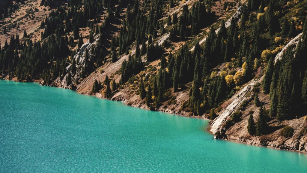 Turquoise Mountain Lake and Pine Forest Landscape 4K Wallpaper
