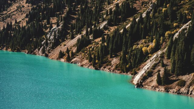 Turquoise Mountain Lake and Pine Forest Landscape 4K Wallpaper