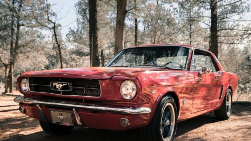 Classic Red Ford Mustang Sports Car in Forest Desktop Wallpaper