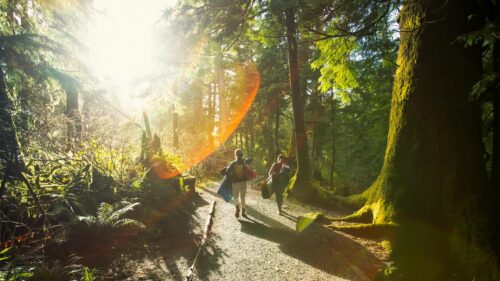 Two Hikers Walking Into Golden Forest Sunlight 4K Wallpaper