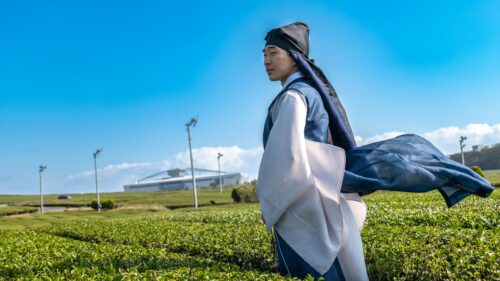 Man in Traditional Korean Hanbok Standing in Green Tea Field 4K Wallpaper