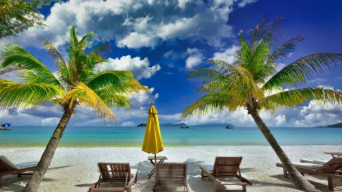 Tropical Beach Paradise with Palm Trees and Lounge Chairs Desktop Wallpaper