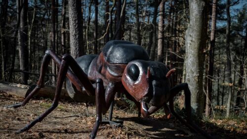 Giant Fantasy Ant Statue in Forest Landscape 4K Wallpaper