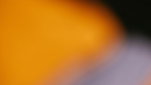 Abstract Warm Orange and Purple Gradient Soft Focus 4K Wallpaper